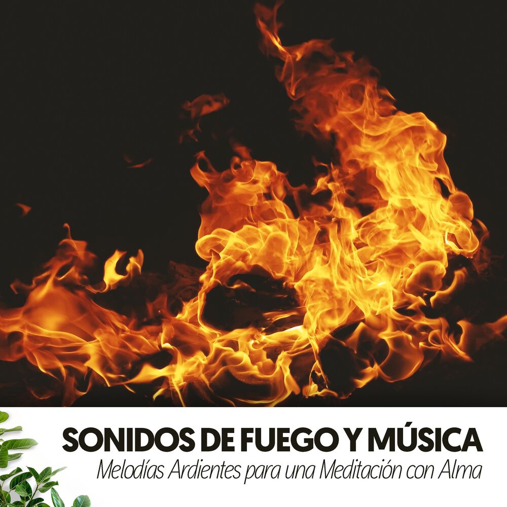 Picture of Sonidos de Fuego y Música: Melodías Ardientes para una Meditación con Alma