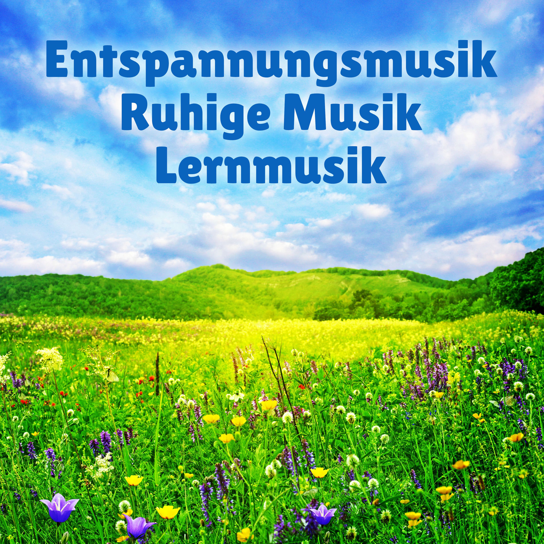 Album cover of Wellness Musik