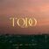 Todo