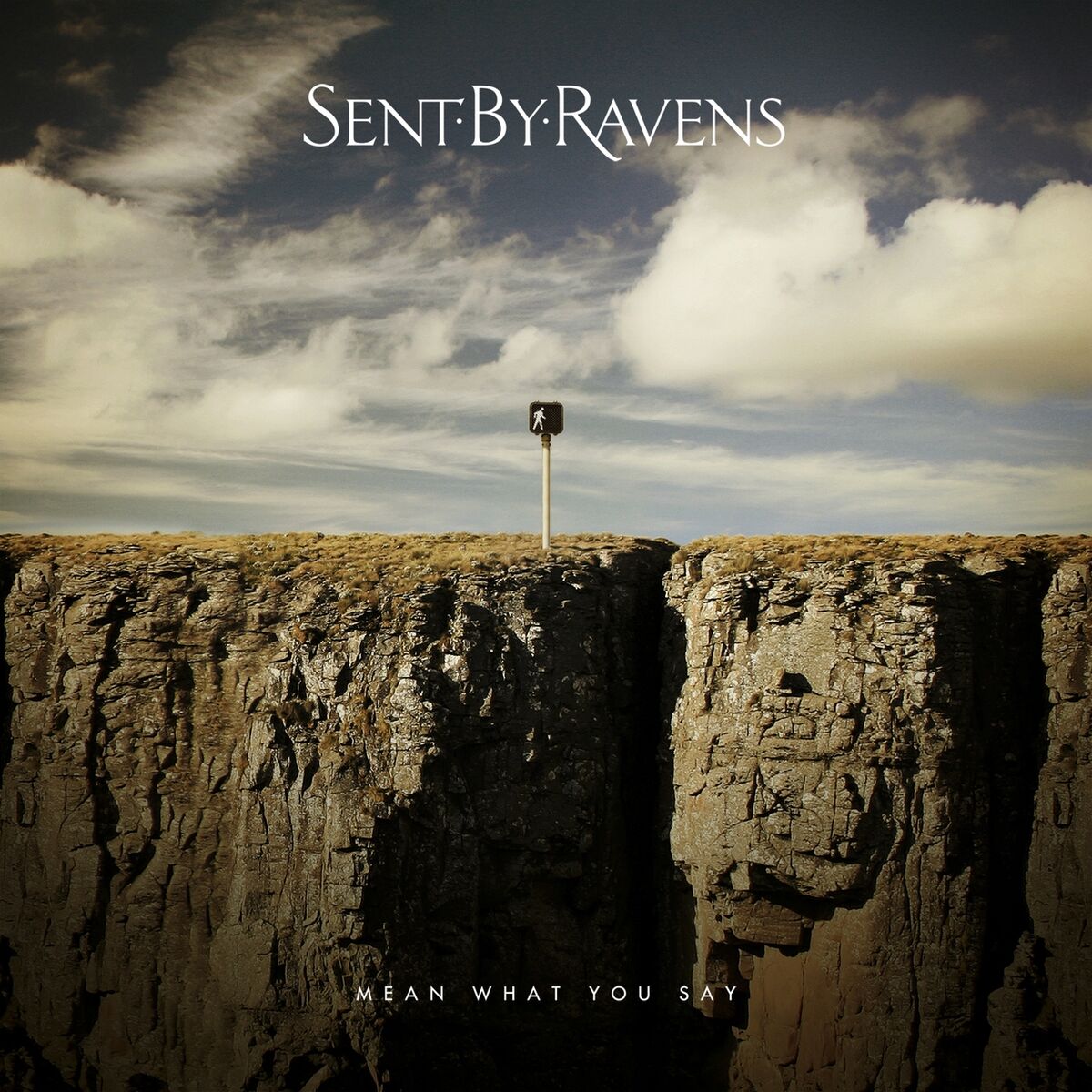 Album cover of Learn From The Night