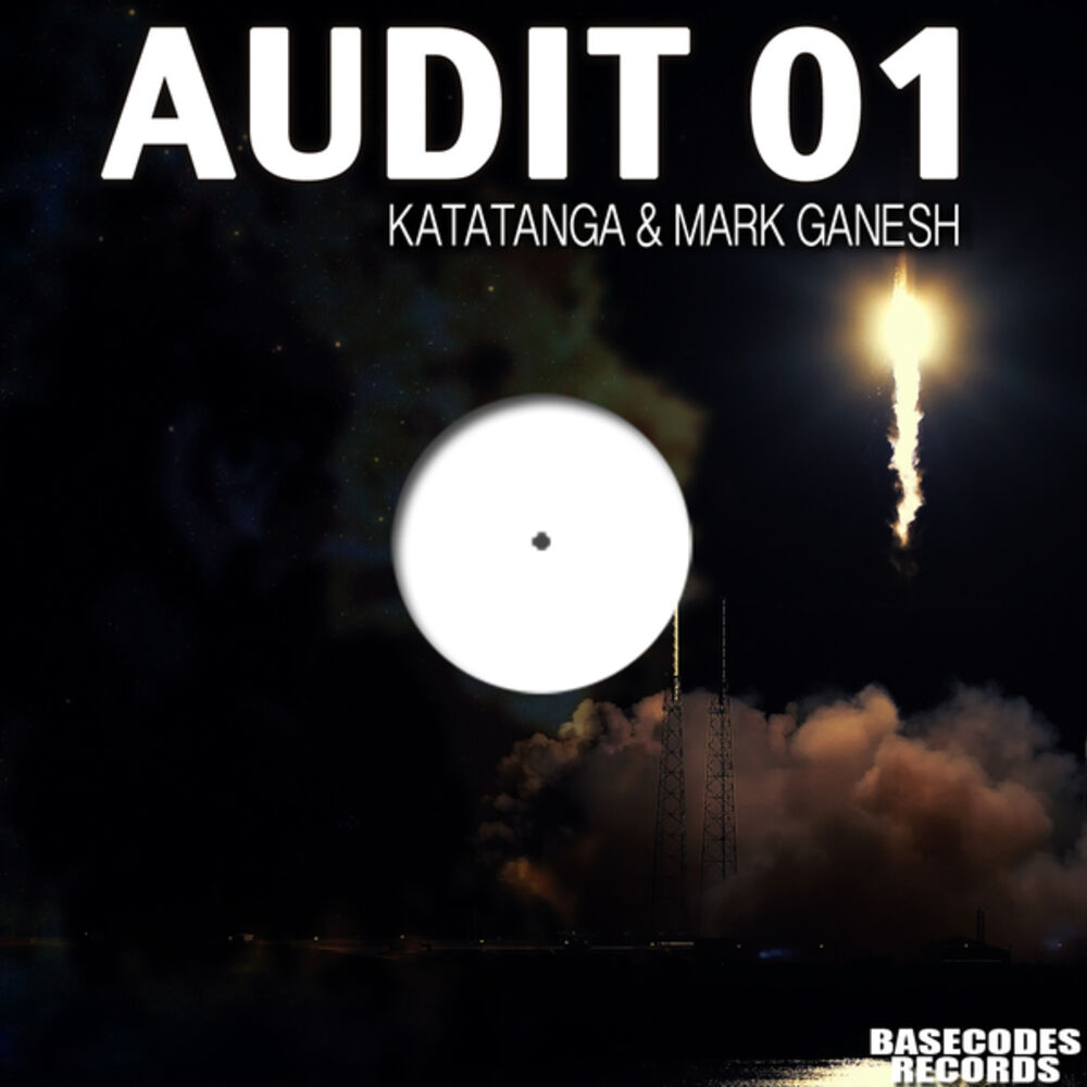 Picture of Audit 01