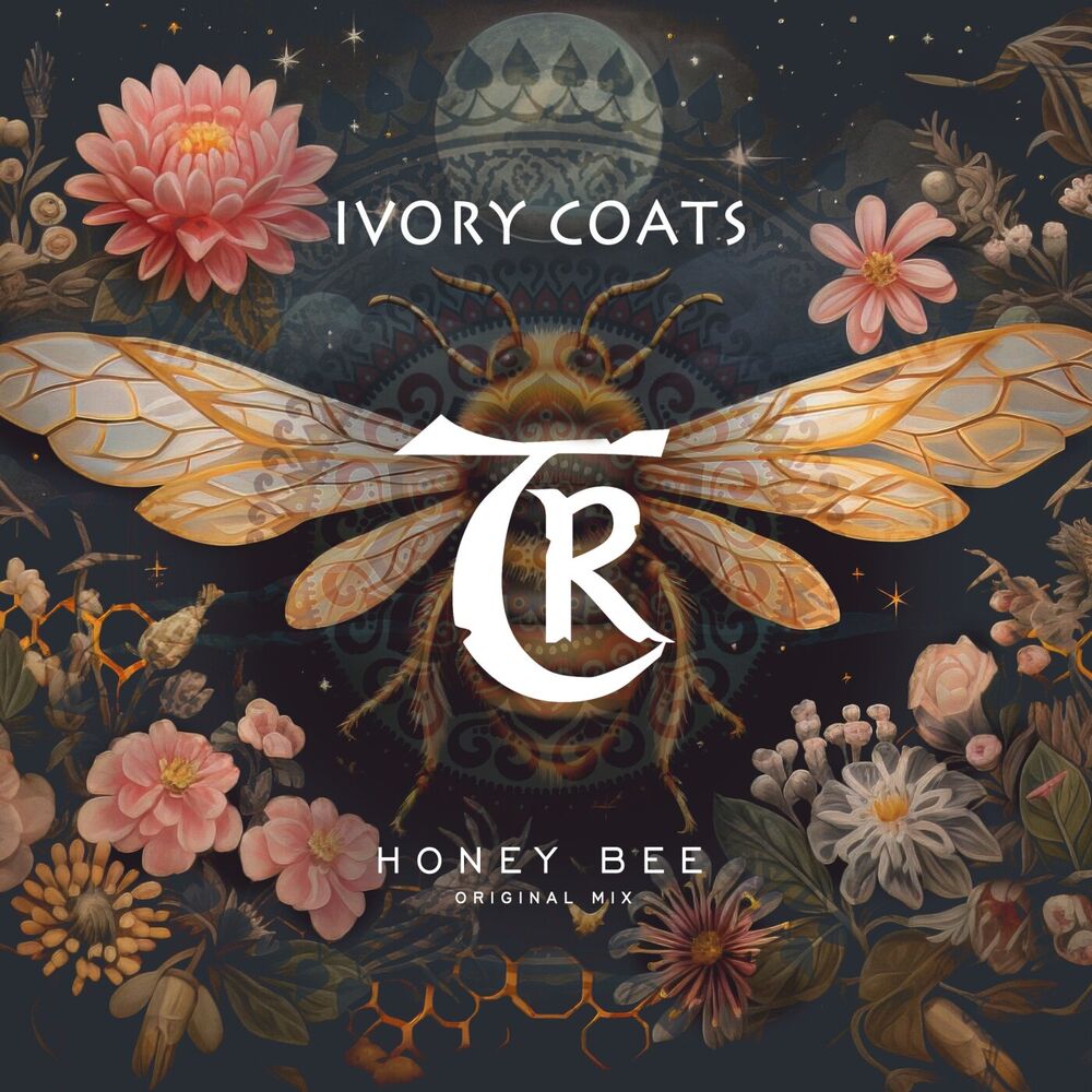 Picture of Honey Bee