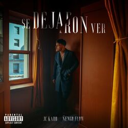 Cover of Se Dejaron Ver