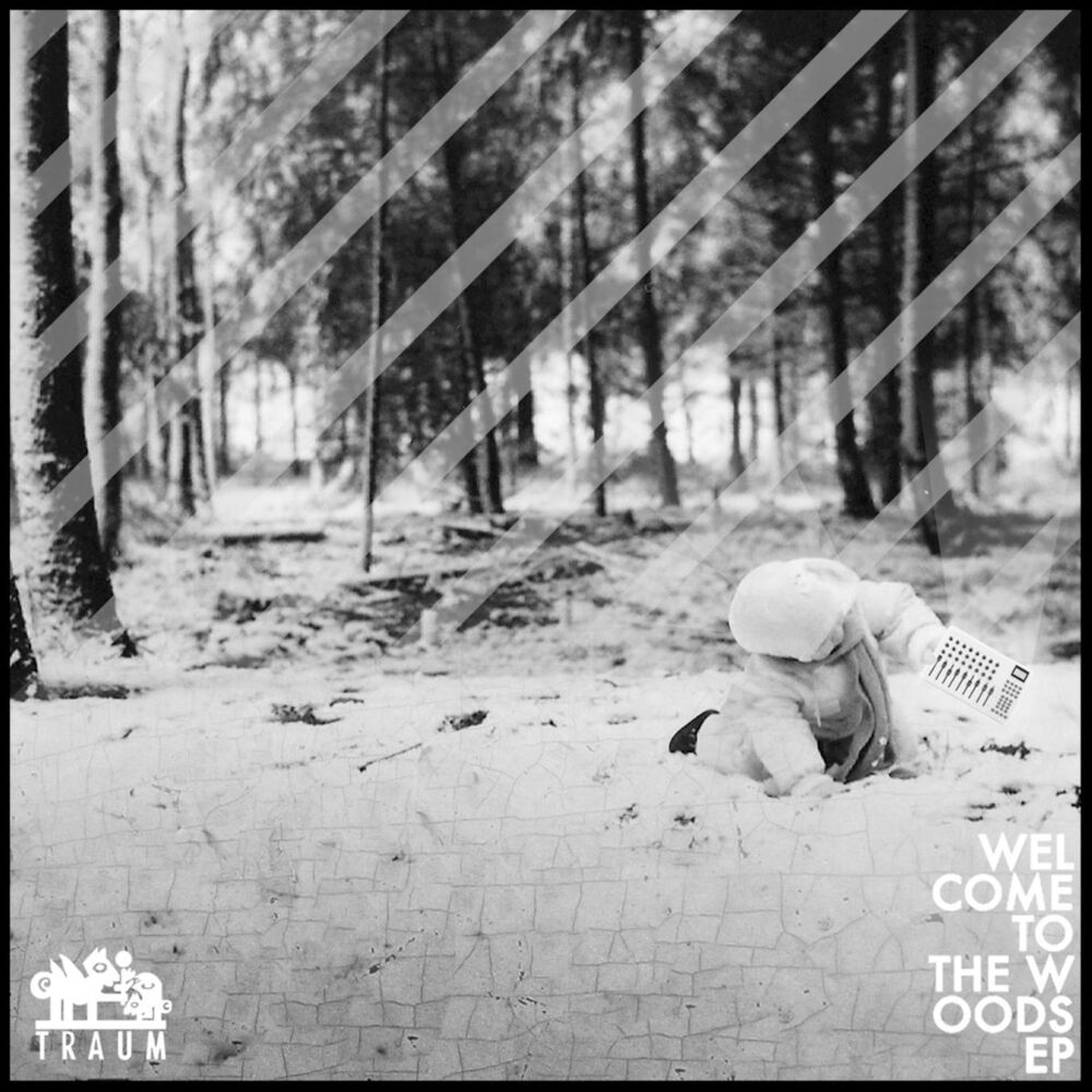 Picture of Welcome to the Woods Remixes
