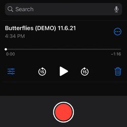Cover of Butterflies (Demo)