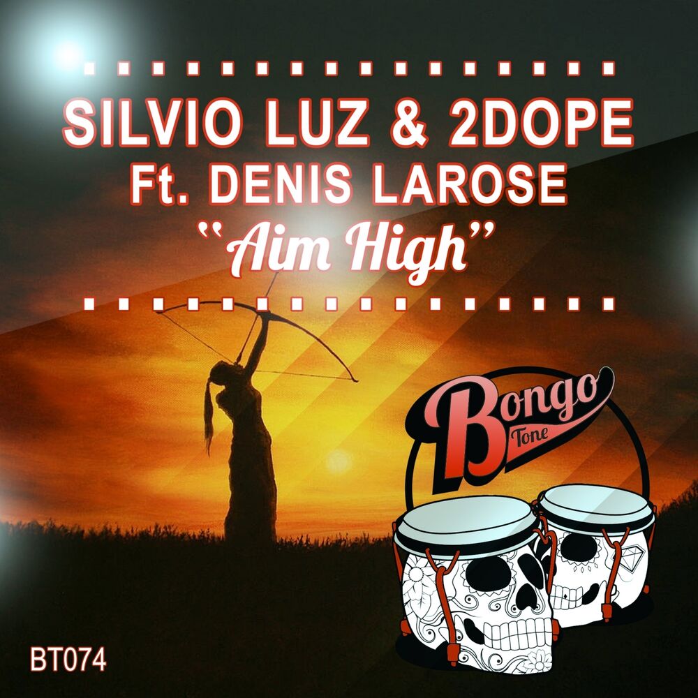 Picture of Aim High