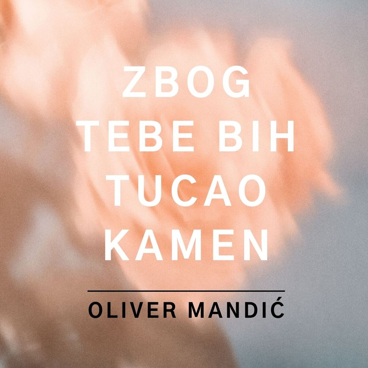 Album cover of Zbog Tebe Bih Tucao Kamen