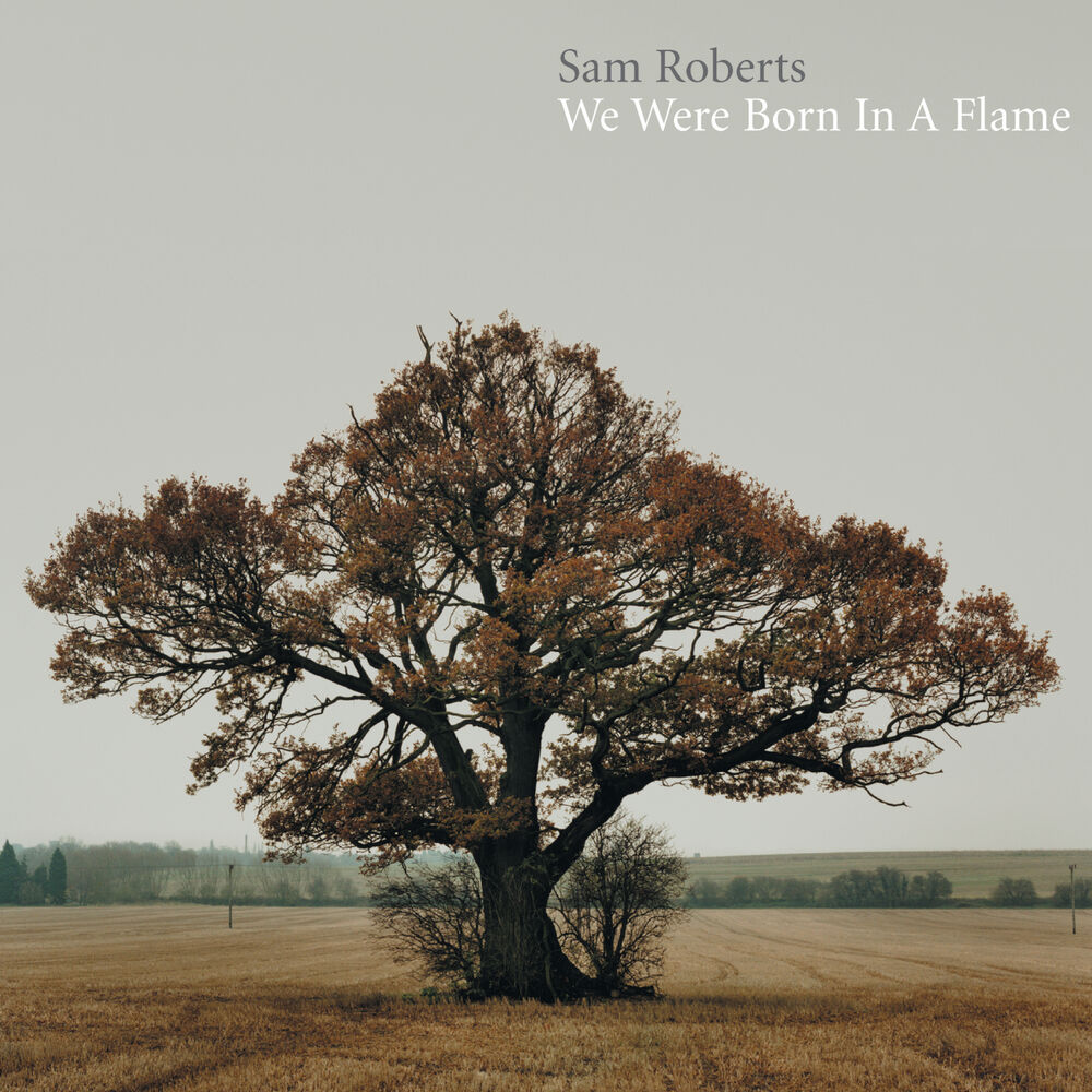 Picture of We Were Born In A Flame