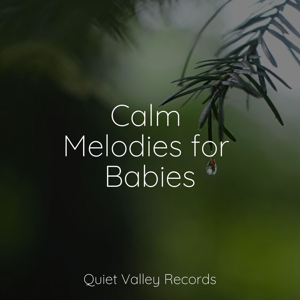 Picture of Calm Melodies for Babies