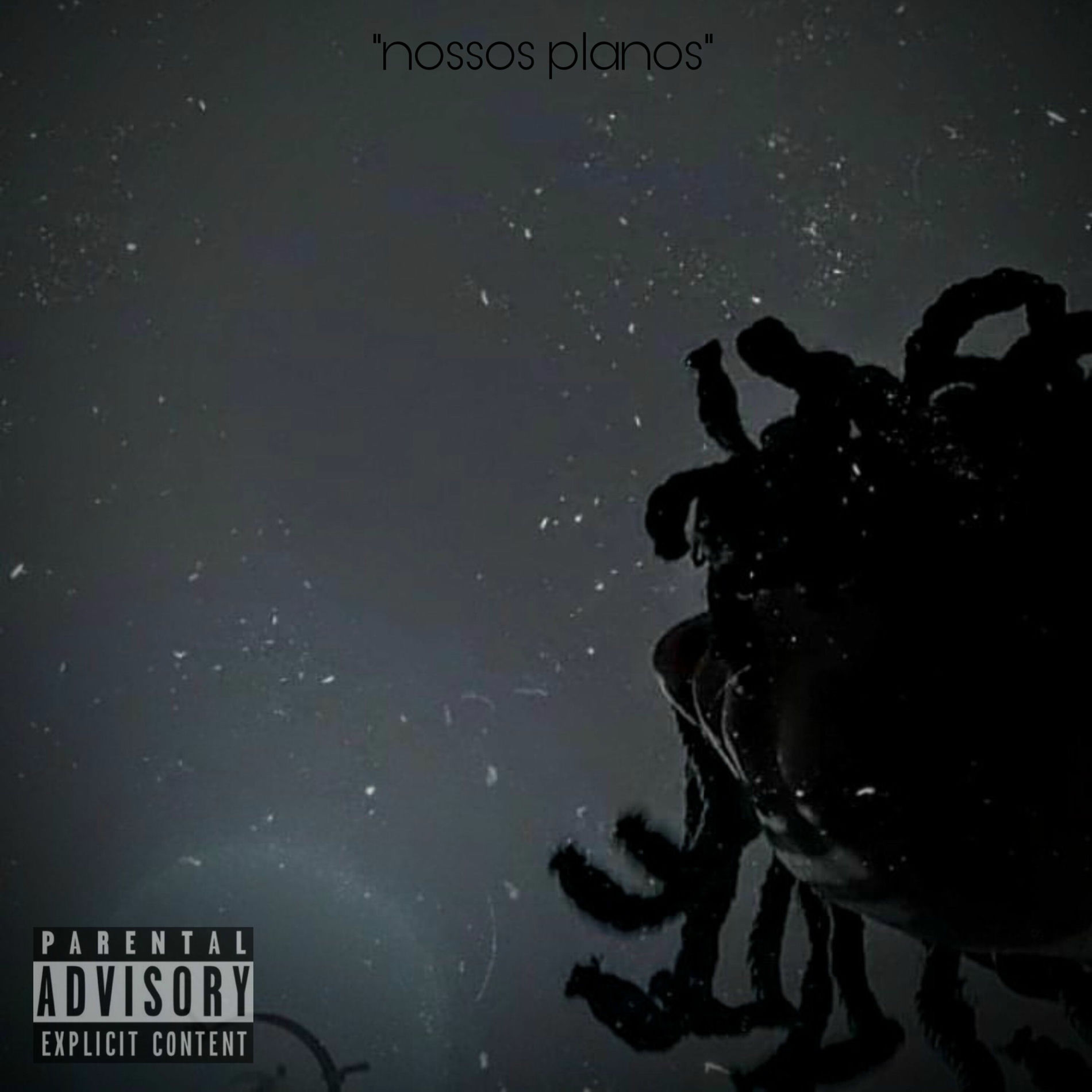 Album cover of Nossos planos