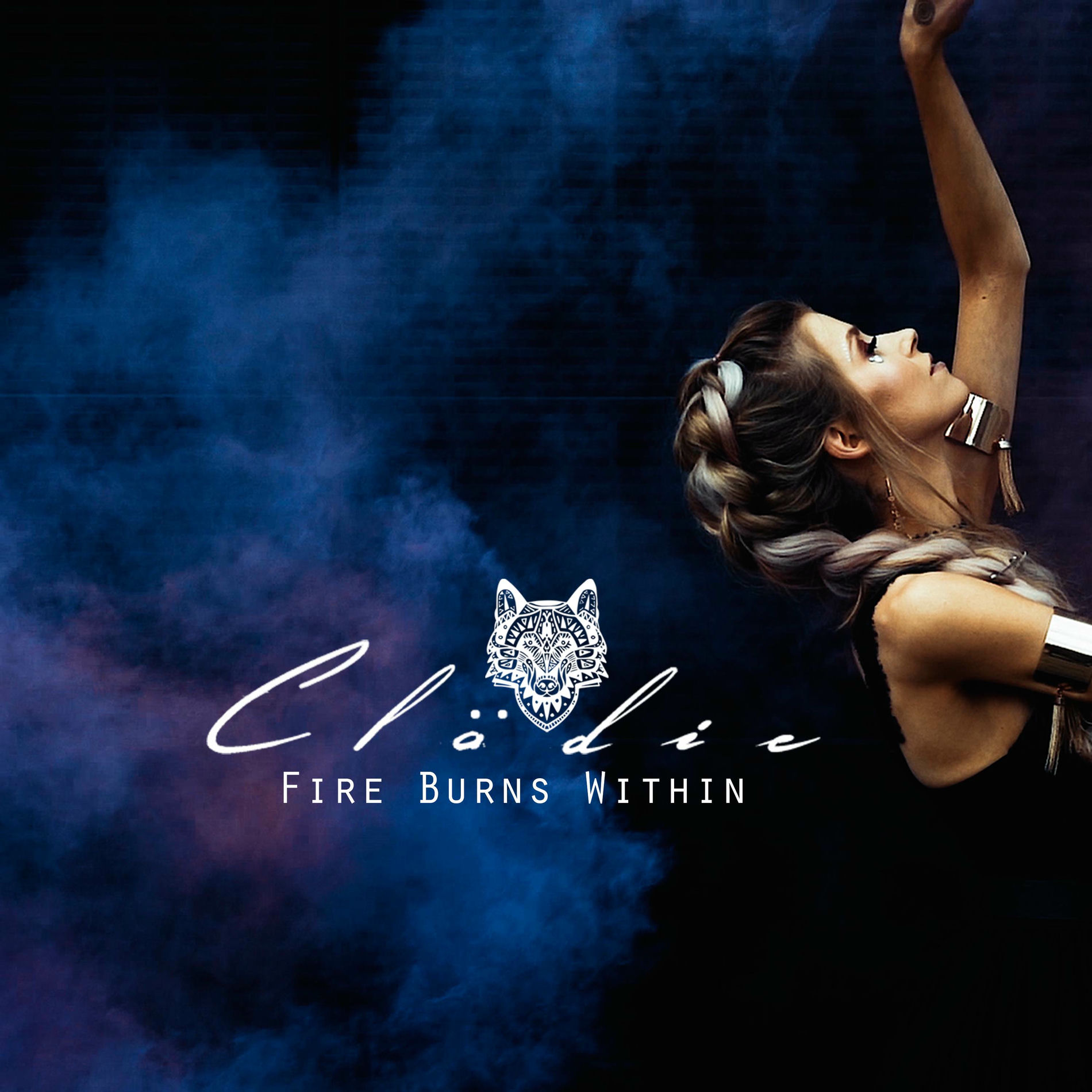 Album cover of Fire Burns Within