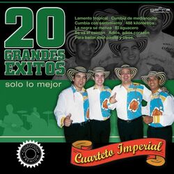 Cover of 20 Grandes Exitos