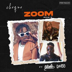 Cover of ZOOM (Remix) [feat. Wale & Davido]