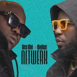 Cover of Netwerk