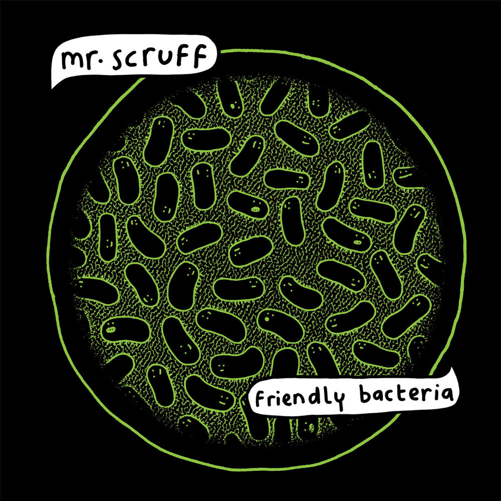 Picture of Friendly Bacteria