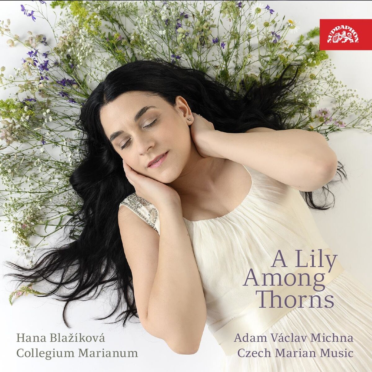 Album cover of Ave maris stella