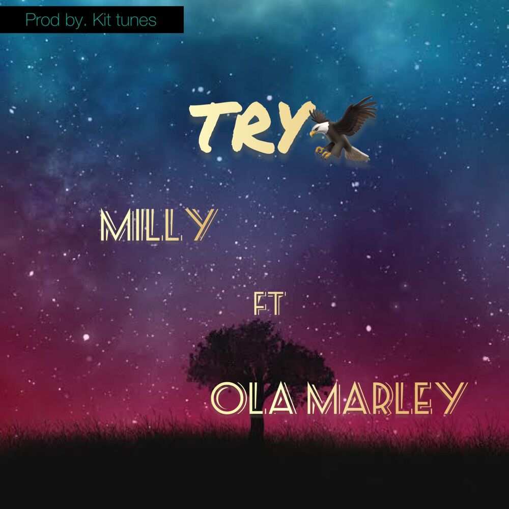 Picture of Try