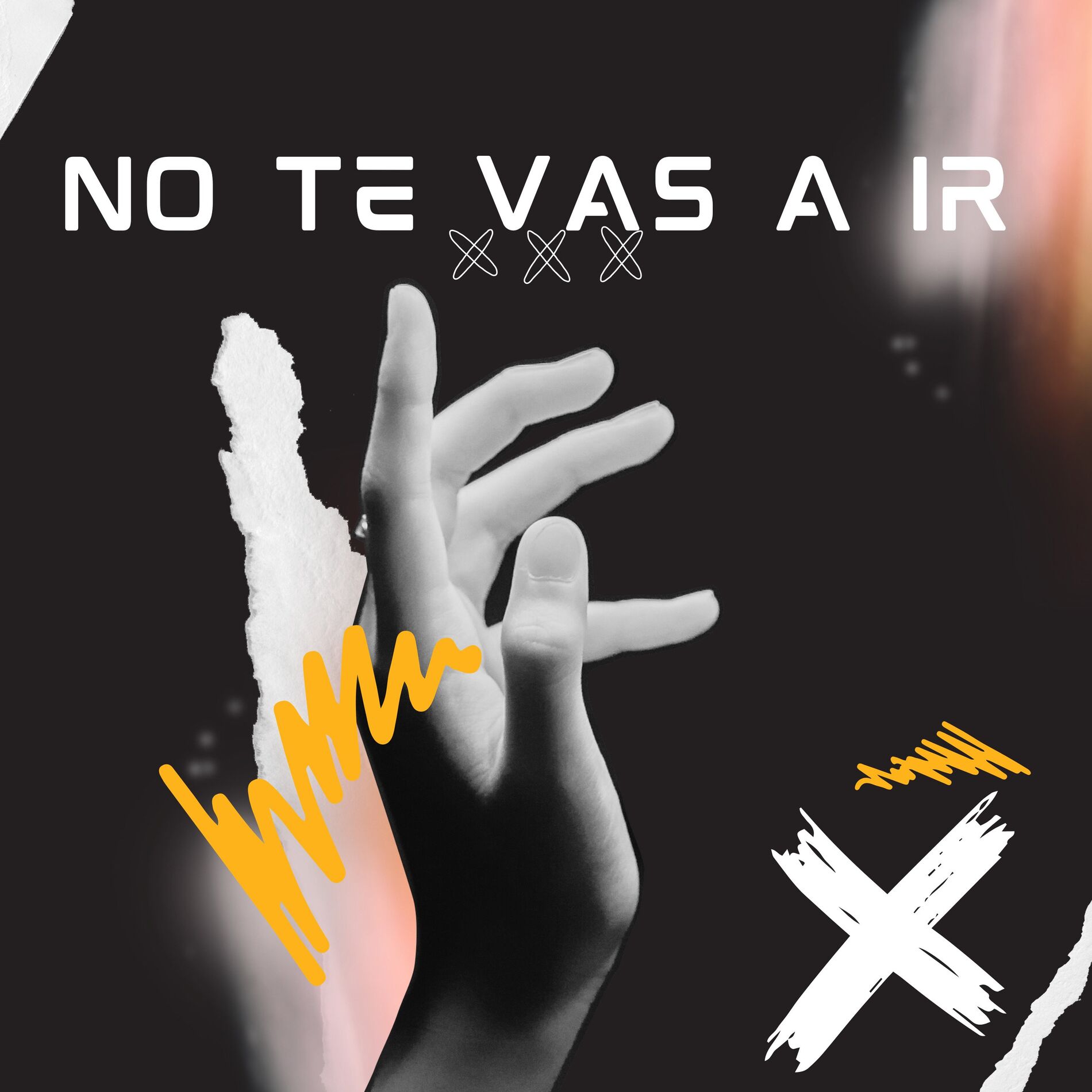Album cover of No Te Vas a Ir