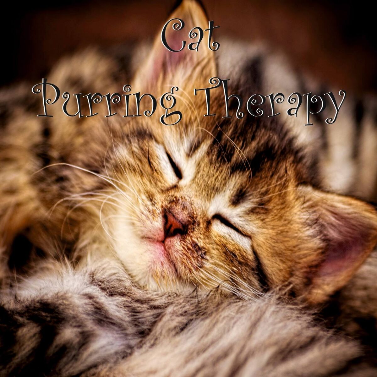 Album cover of Cat Purring Therapy