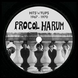 Cover of Hits'n'Flips