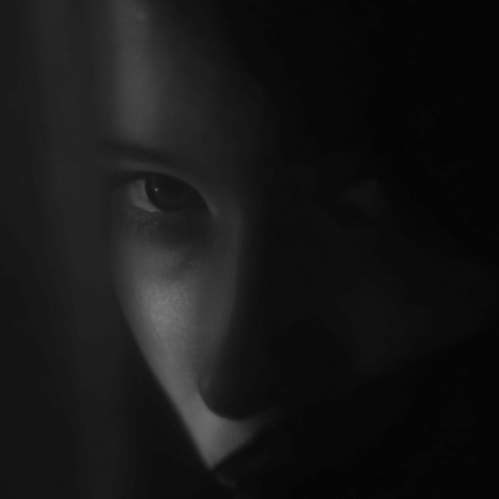 Album cover of noire