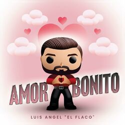 Cover of Amor Bonito