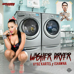 Cover of Washer Dryer