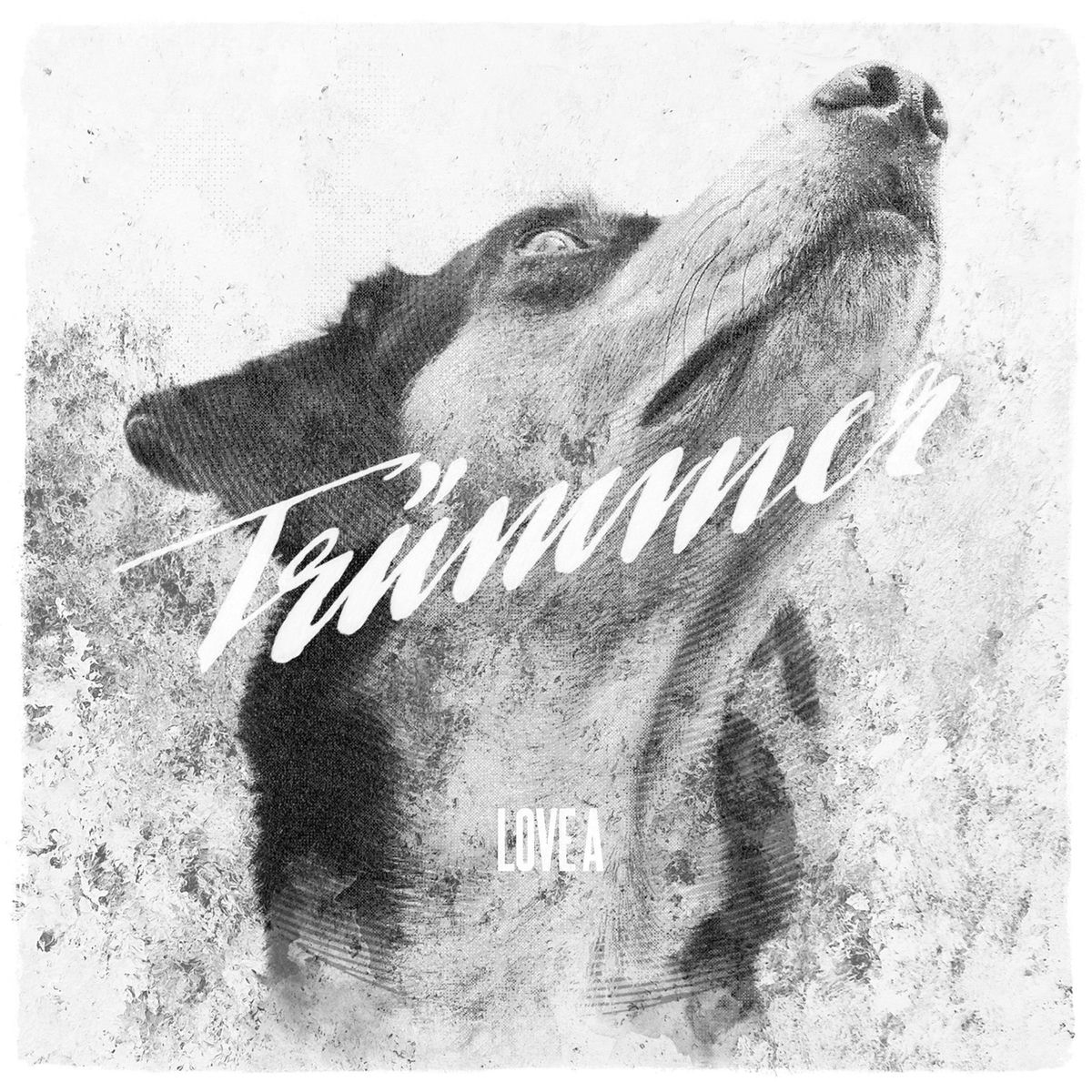 Album cover of Trümmer