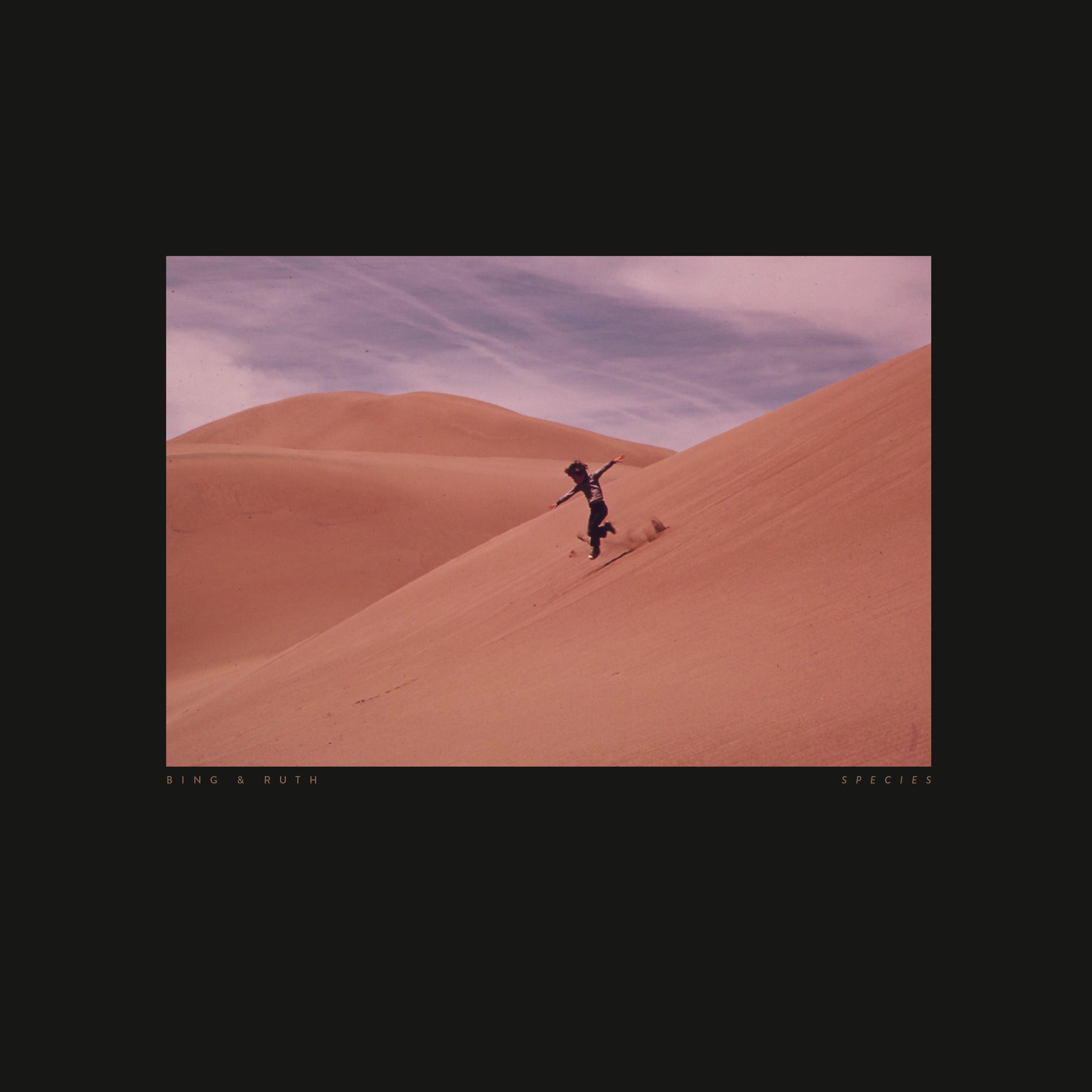 Album cover of Body in a Room