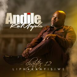 Cover of Chapter 12 Liphakanyisiwe