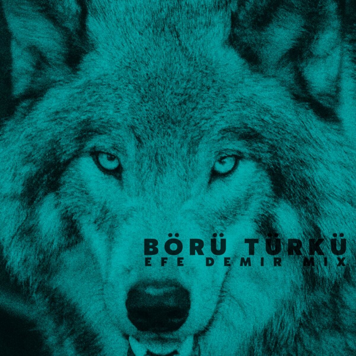 Album cover of BÖRÜ TÜRKÜ