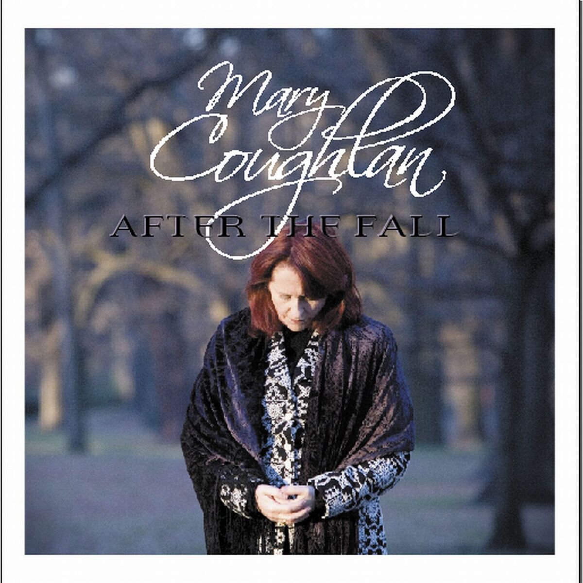 Album cover of After the Fall