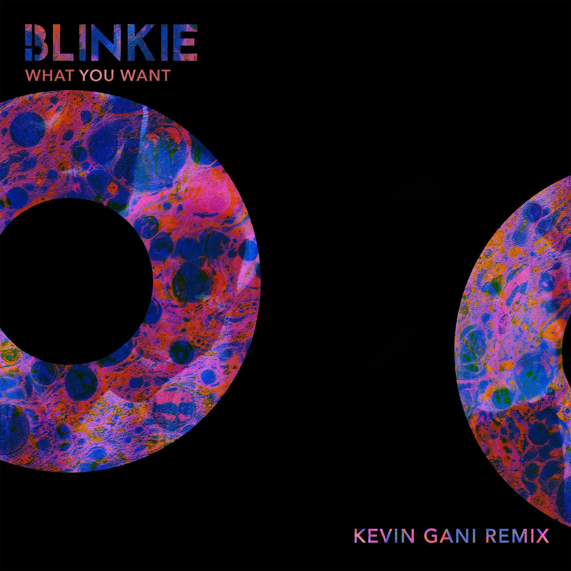Album cover of What You Want (Kevin Gani Remix)