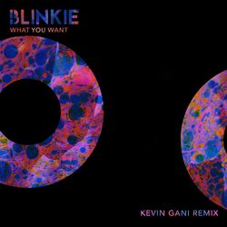 Cover of What You Want (Kevin Gani Remix)
