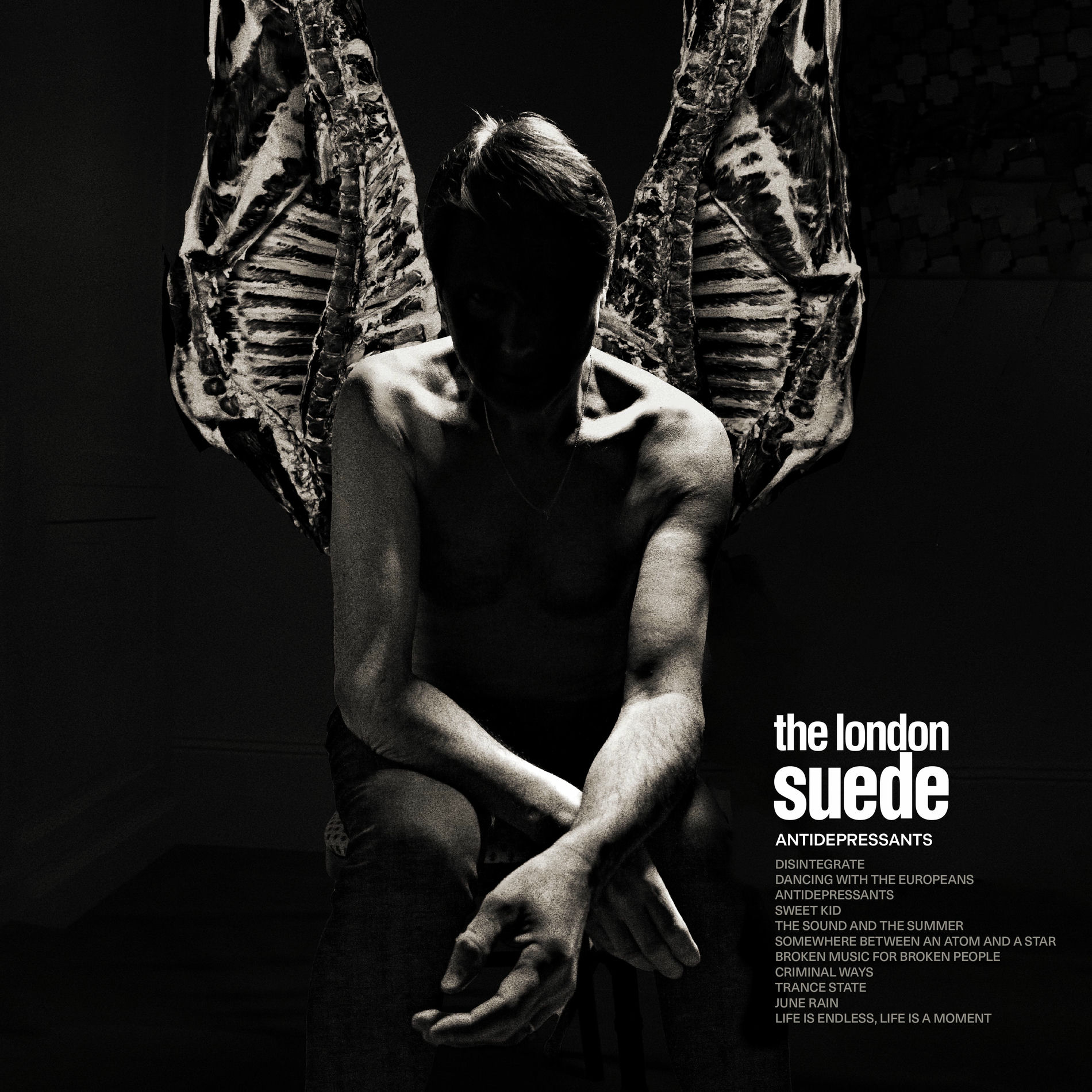 洋楽 Suede night thoughts instrumental cd 81WSAKpR3uL._UF1000,1000_QL80_.jpg