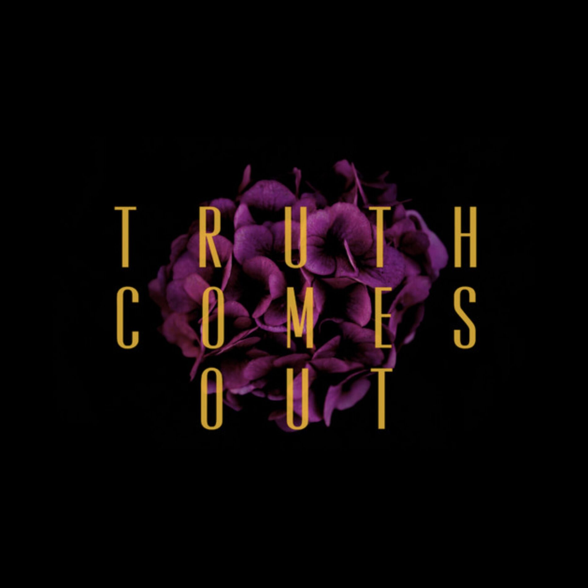 Album cover of Truth Comes Out