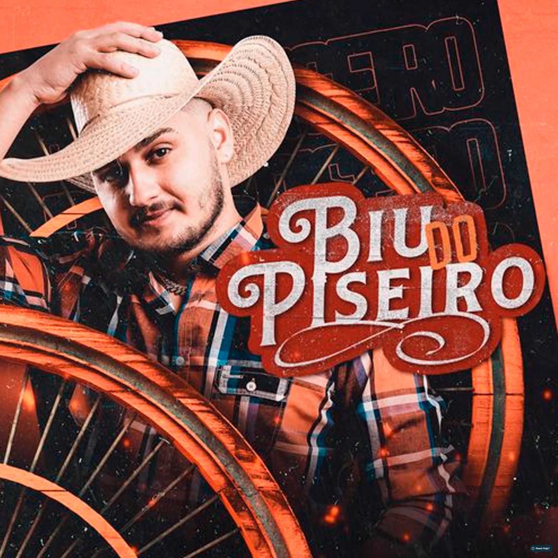 Album cover of Tô na Vaquejada