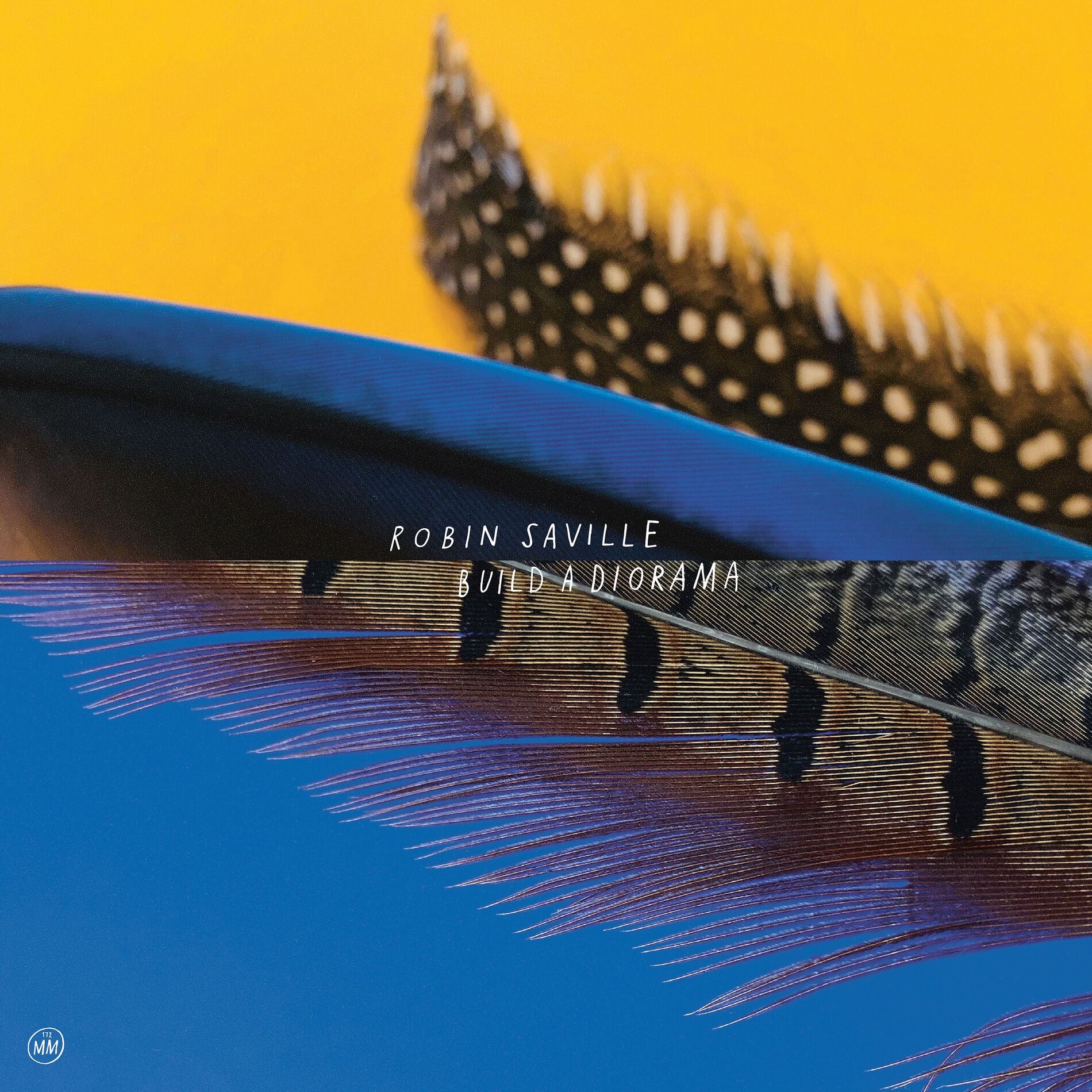 Album cover of Build A Diorama