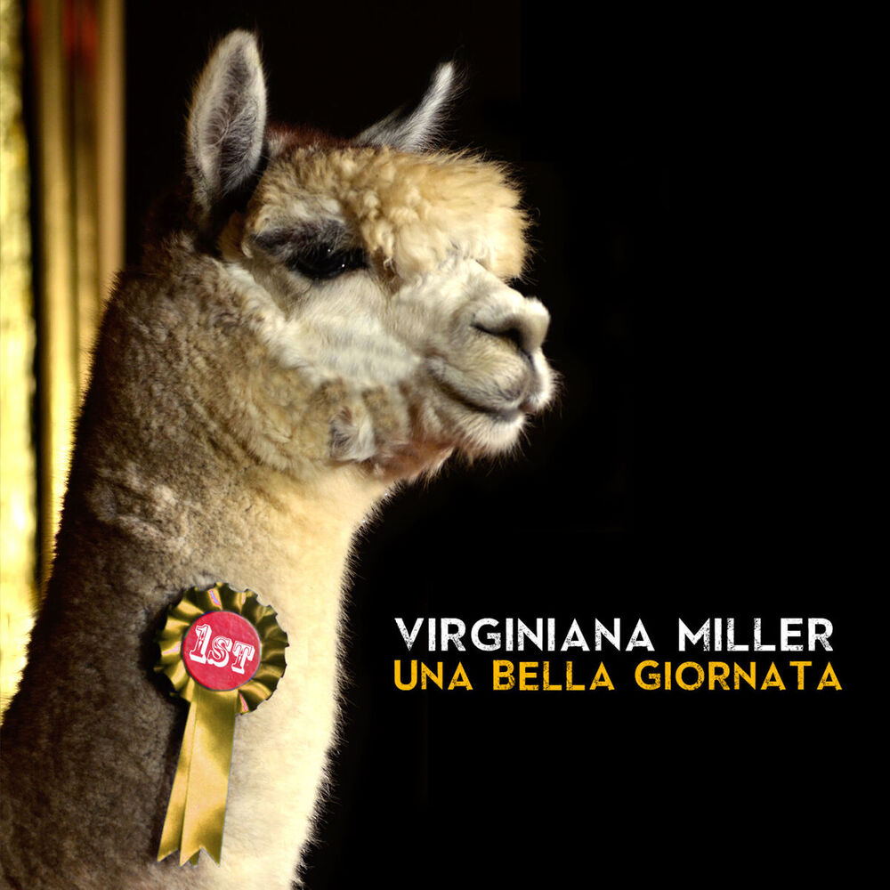 Picture of Una bella giornata