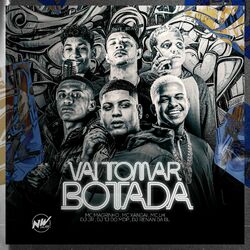 Cover of Vai Tomar Botada