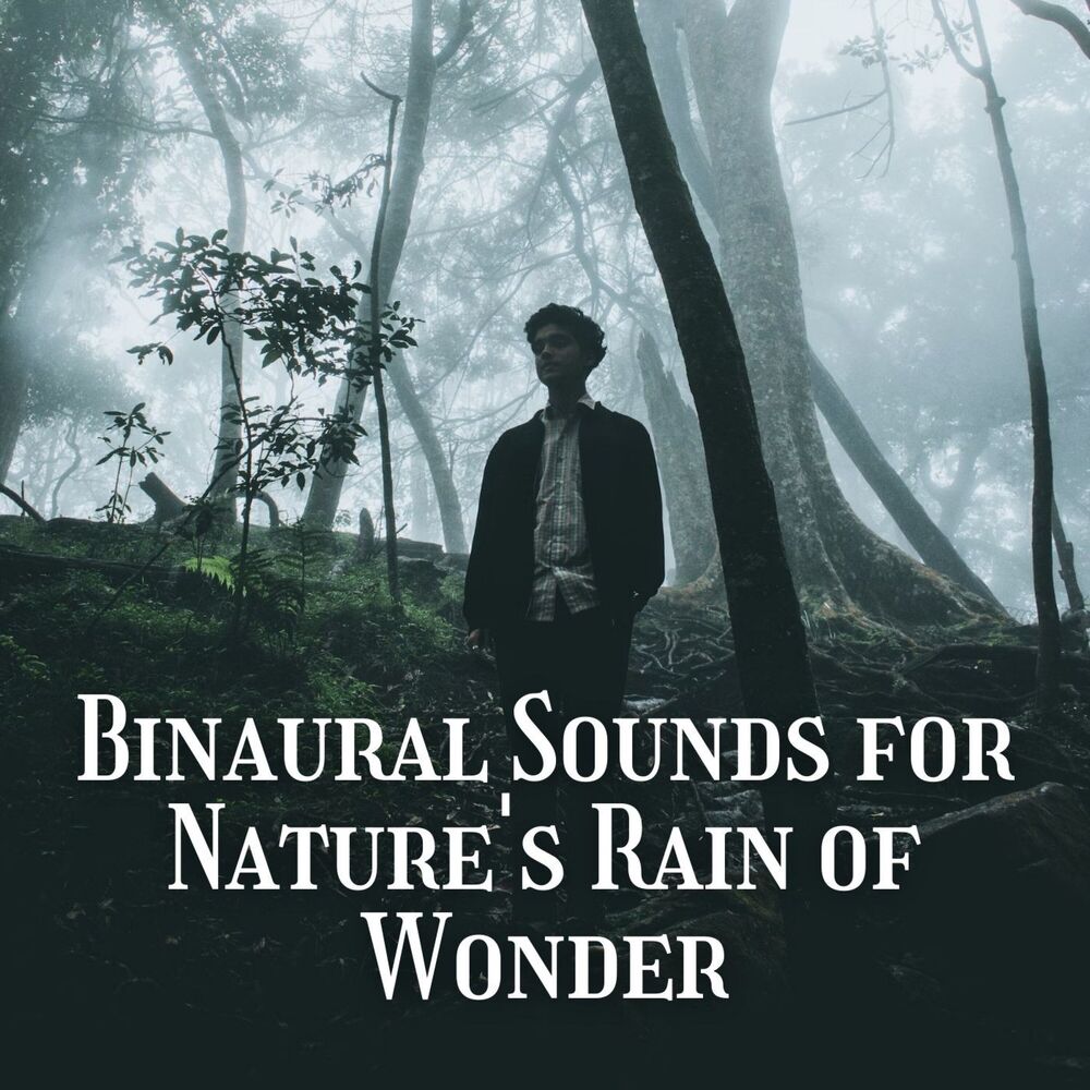 Picture of Binaural Sounds for Nature's Rain of Wonder