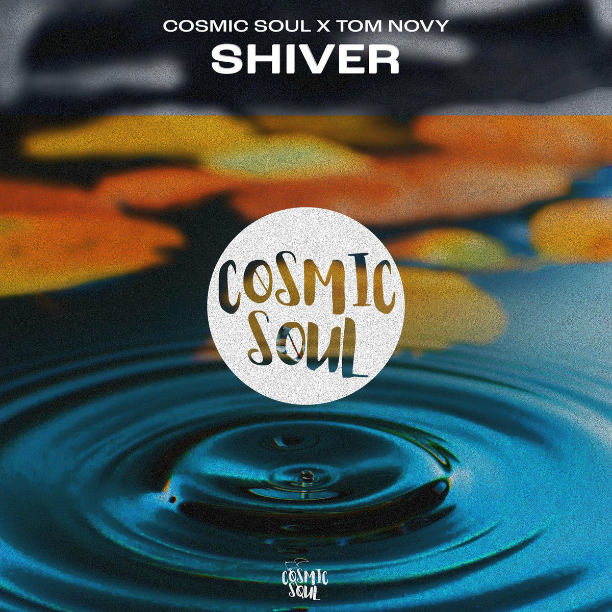 Album cover of Shiver