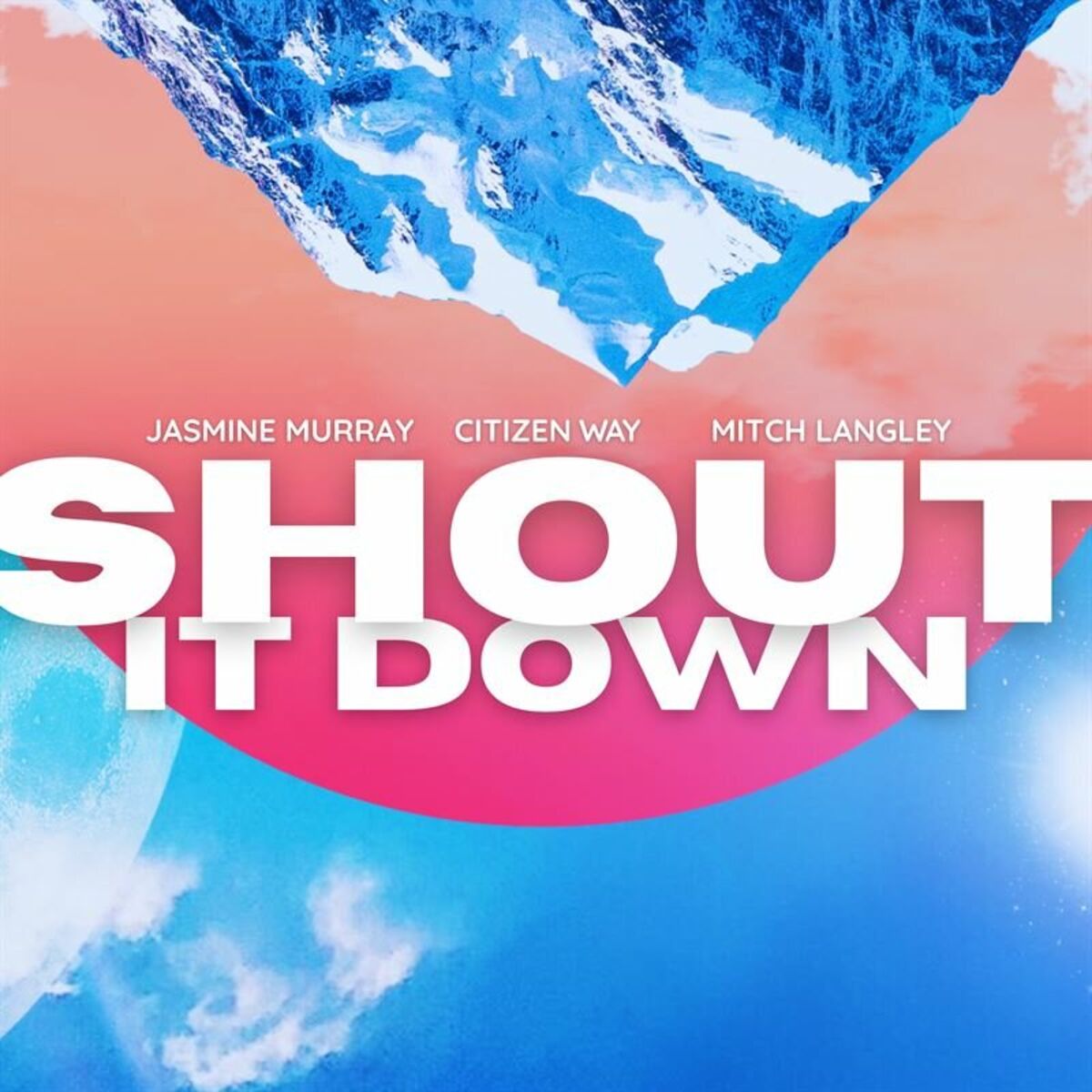 Album cover of SHOUT IT DOWN