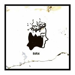 Cover of Burn
