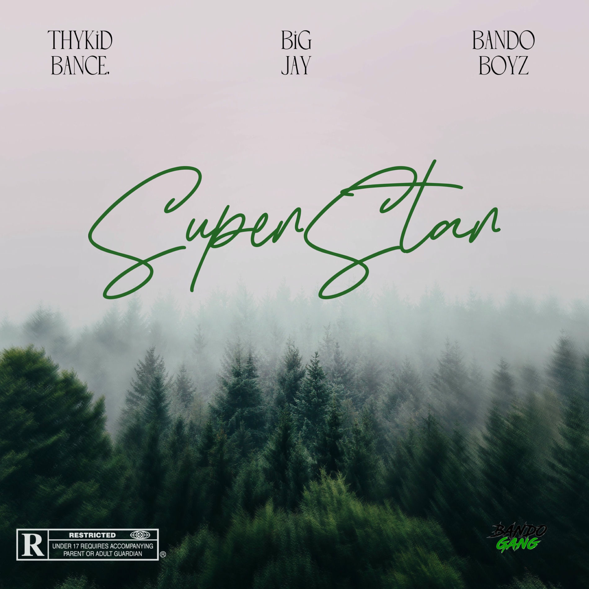 Album cover of Superstar