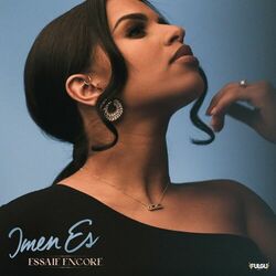 Cover of Essaie encore