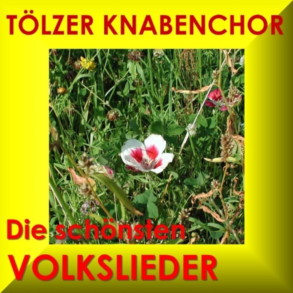Picture of Die Schönsten Volkslieder