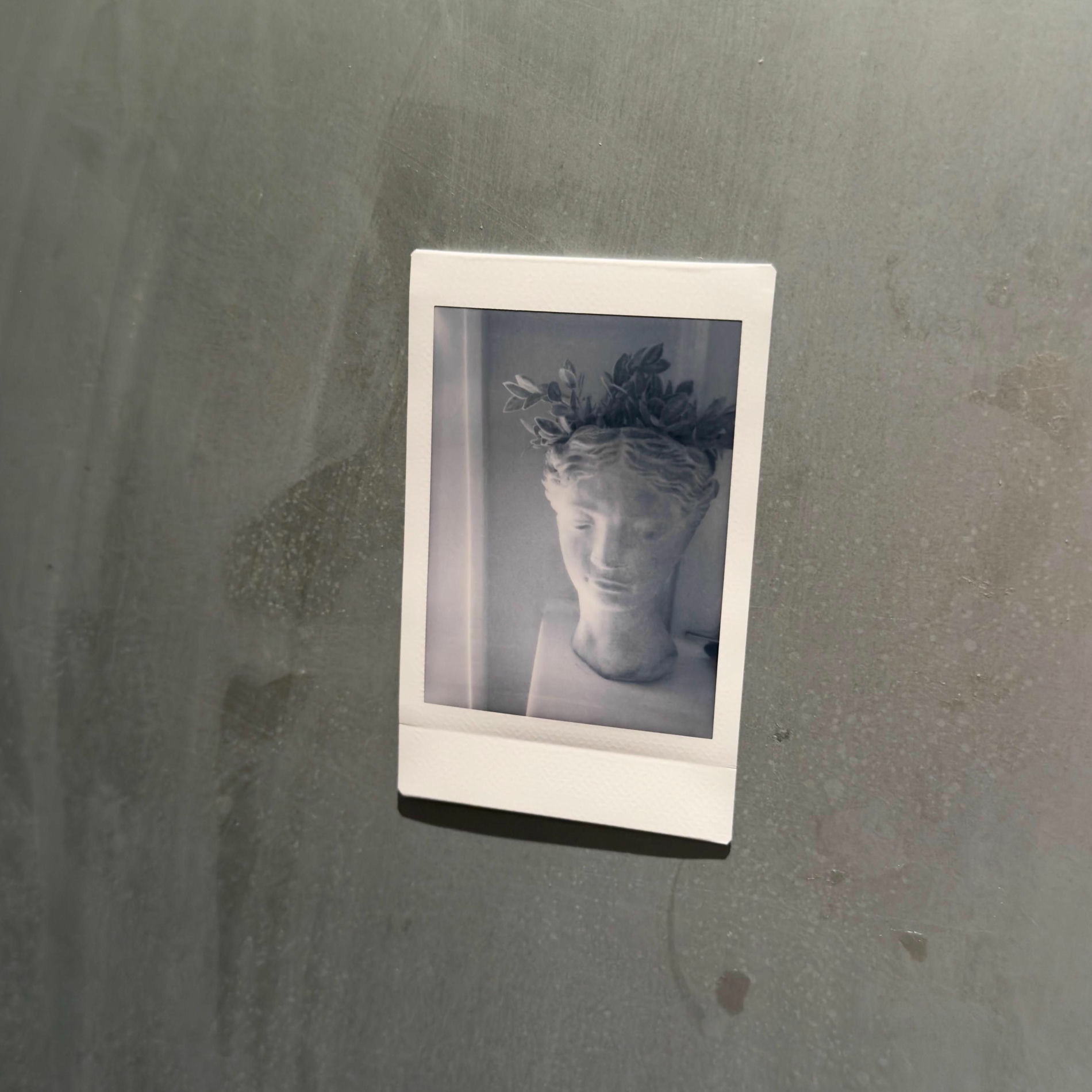 Album cover of Weirdo