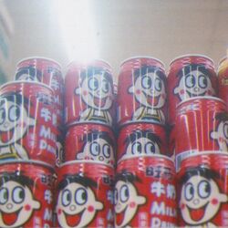 Cover of SB-08