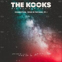 Cover of Connection - Echo in the Dark, Pt. I